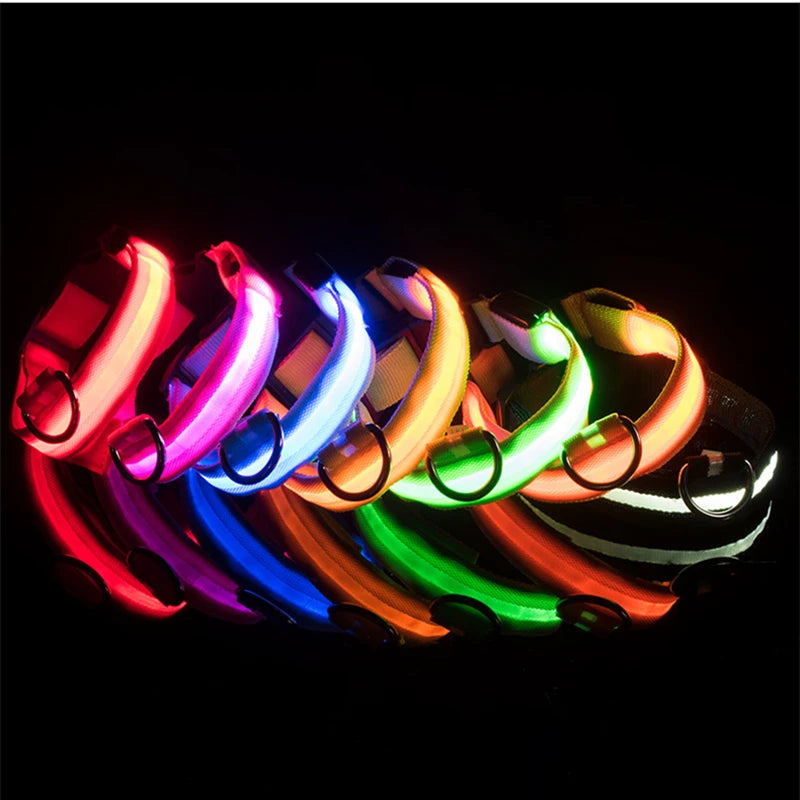 GlowTrack LED Collar