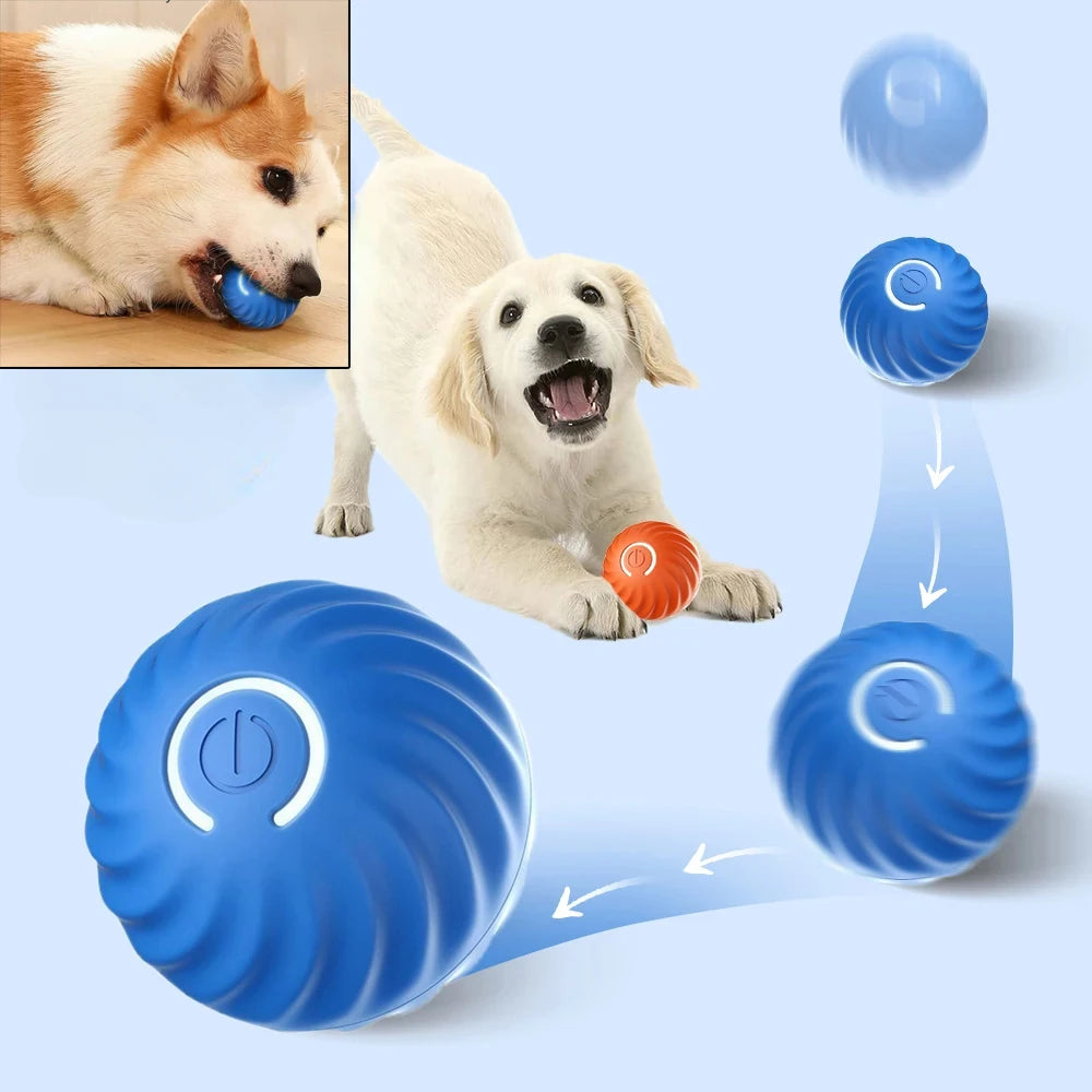 Interactive automatic dog ball