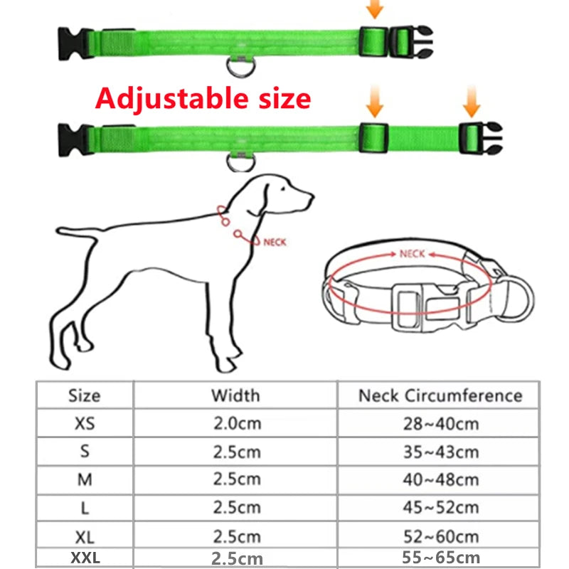 GlowTrack LED Collar