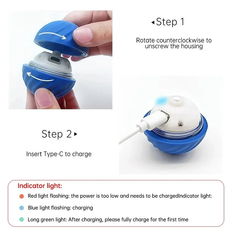 Interactive automatic dog ball