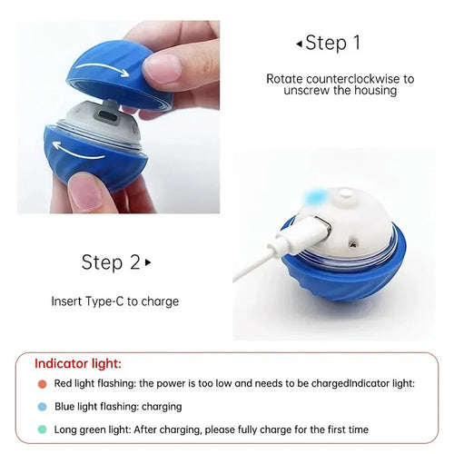 Interactive automatic dog ball