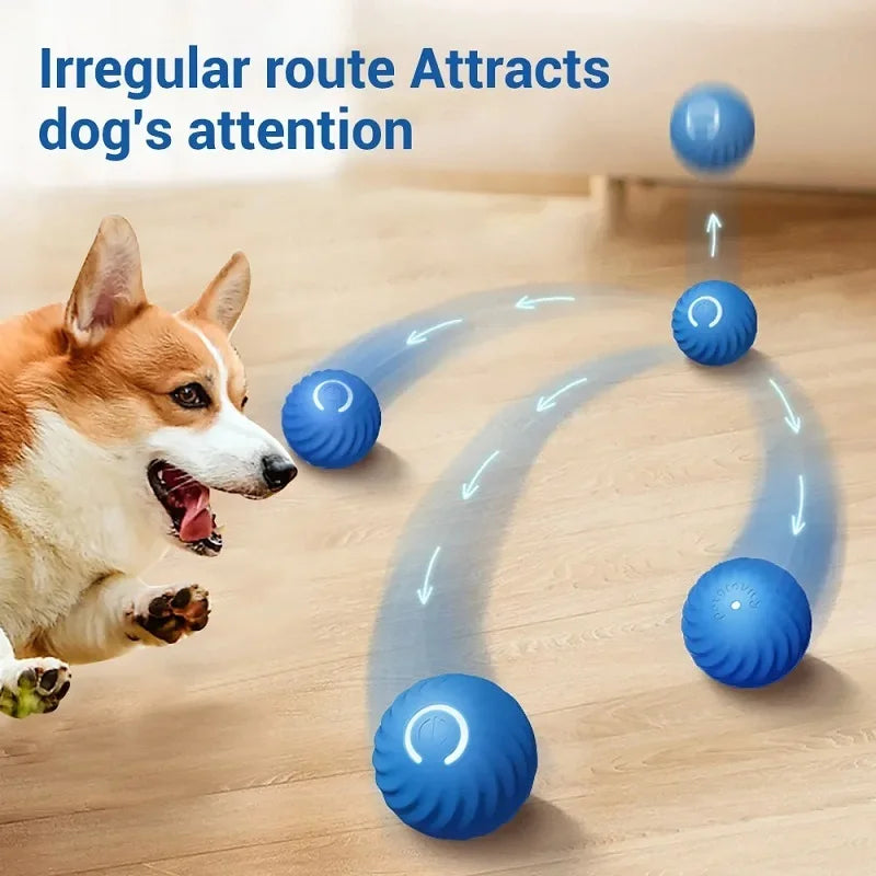 Interactive automatic dog ball