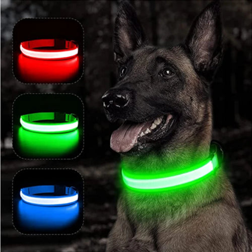GlowTrack LED Collar