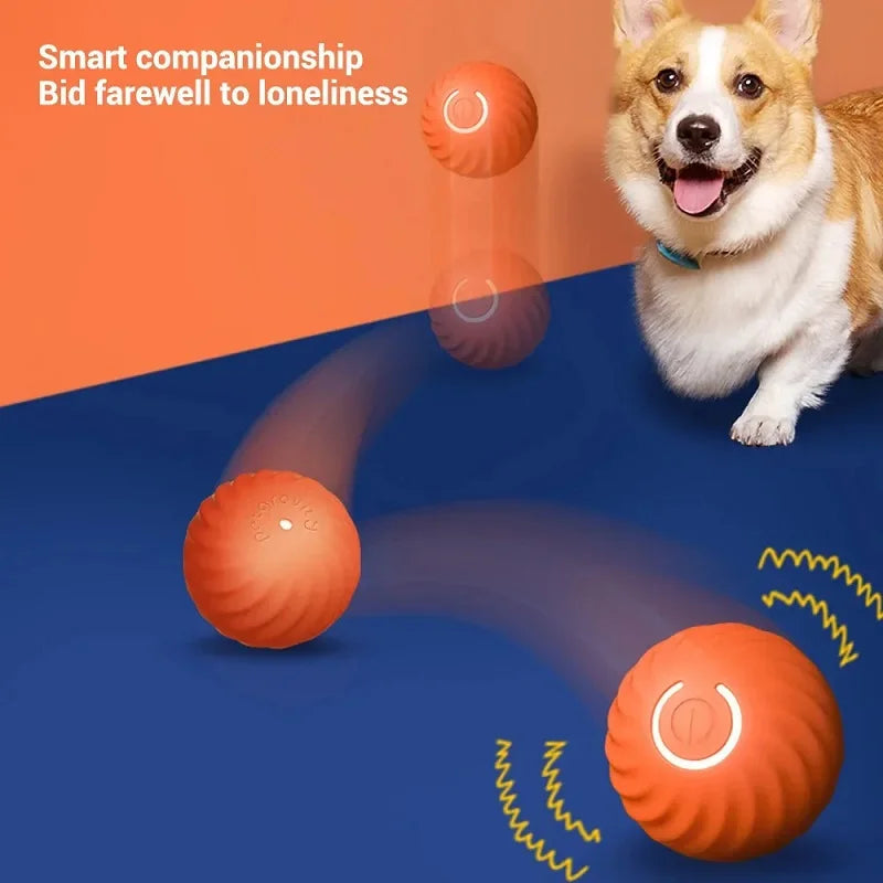 Interactive automatic dog ball