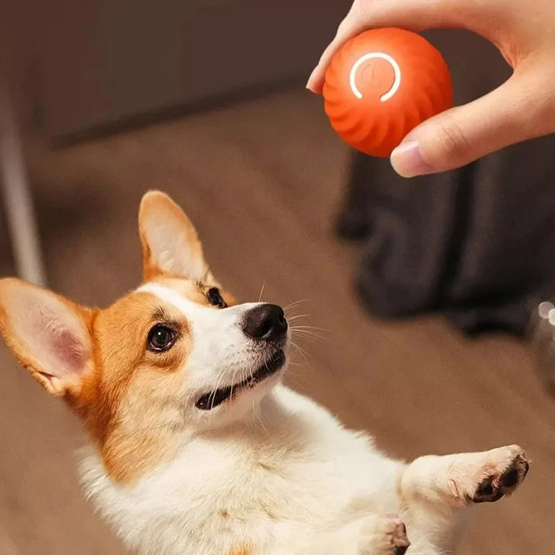 Interactive automatic dog ball