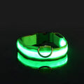 GlowTrack LED Collar