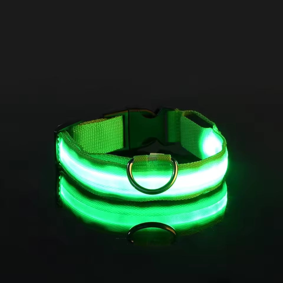 GlowTrack LED Collar